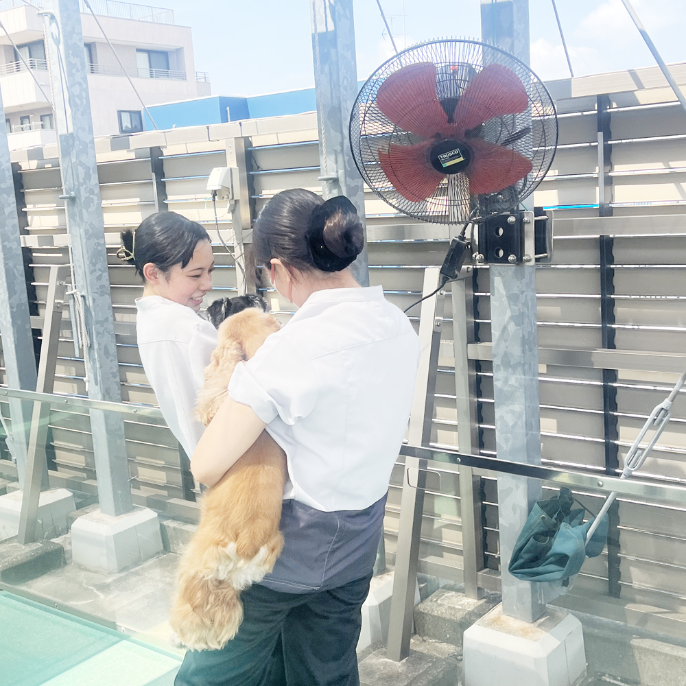 Wan活でお散歩♪
